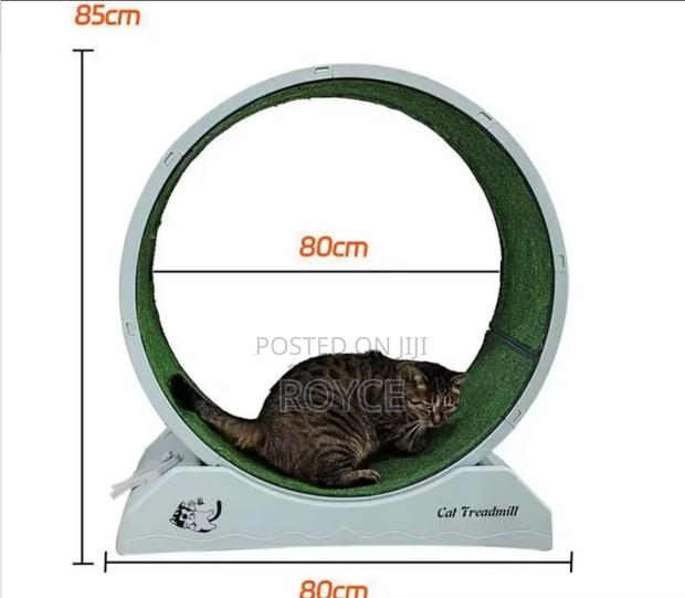 Cat Treadmill Toy - thumbnail 3