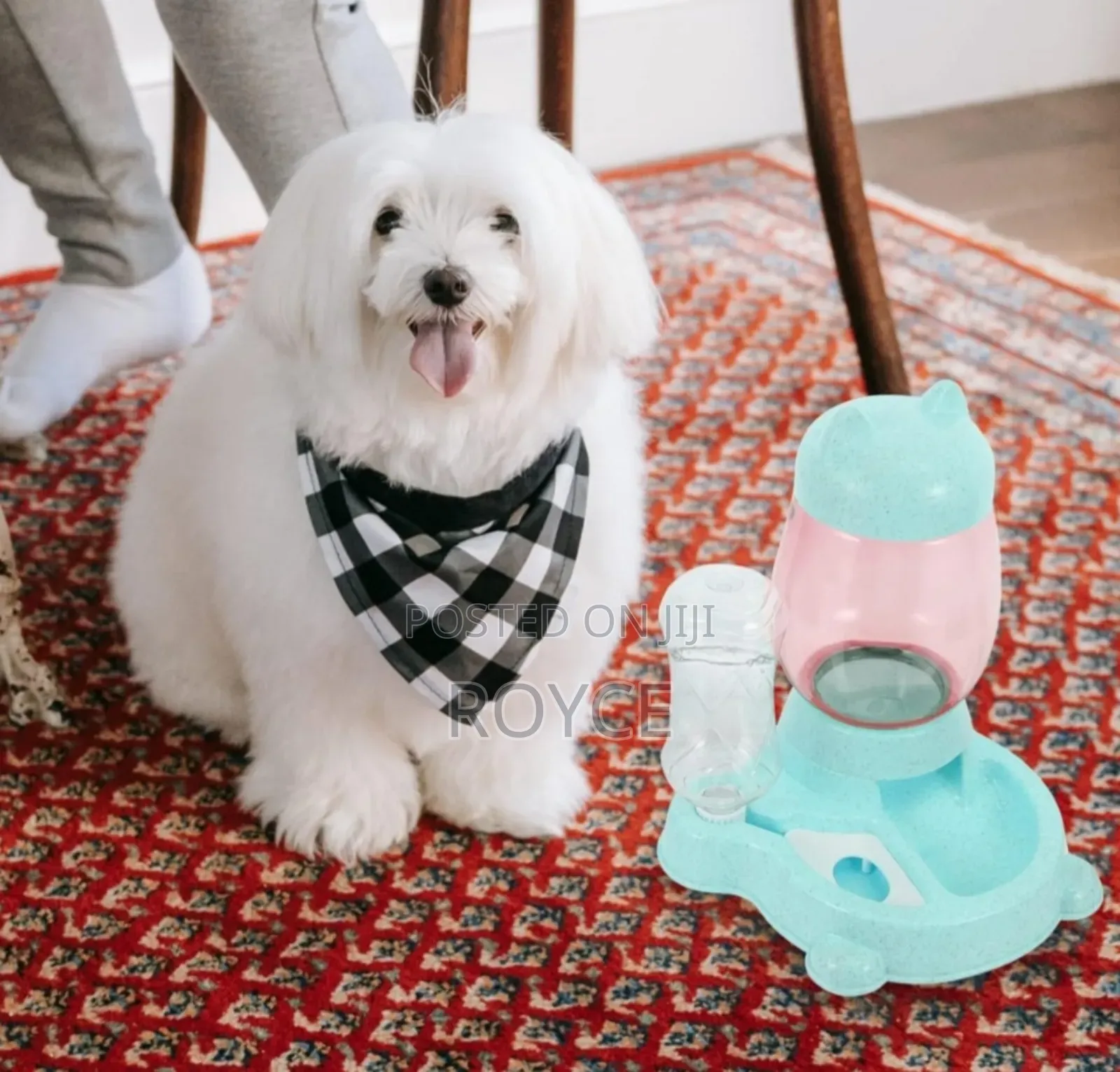 Automatic Pet Food Dispenser