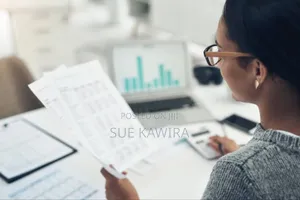 Finance/Accountant Position