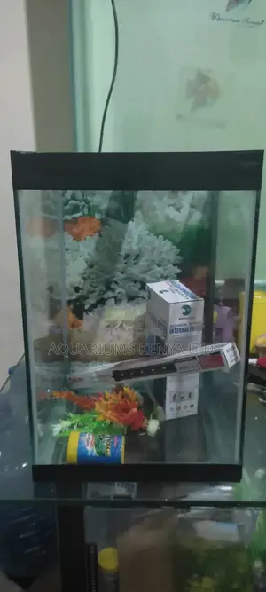 Starter Aquarium For Children And Beginners