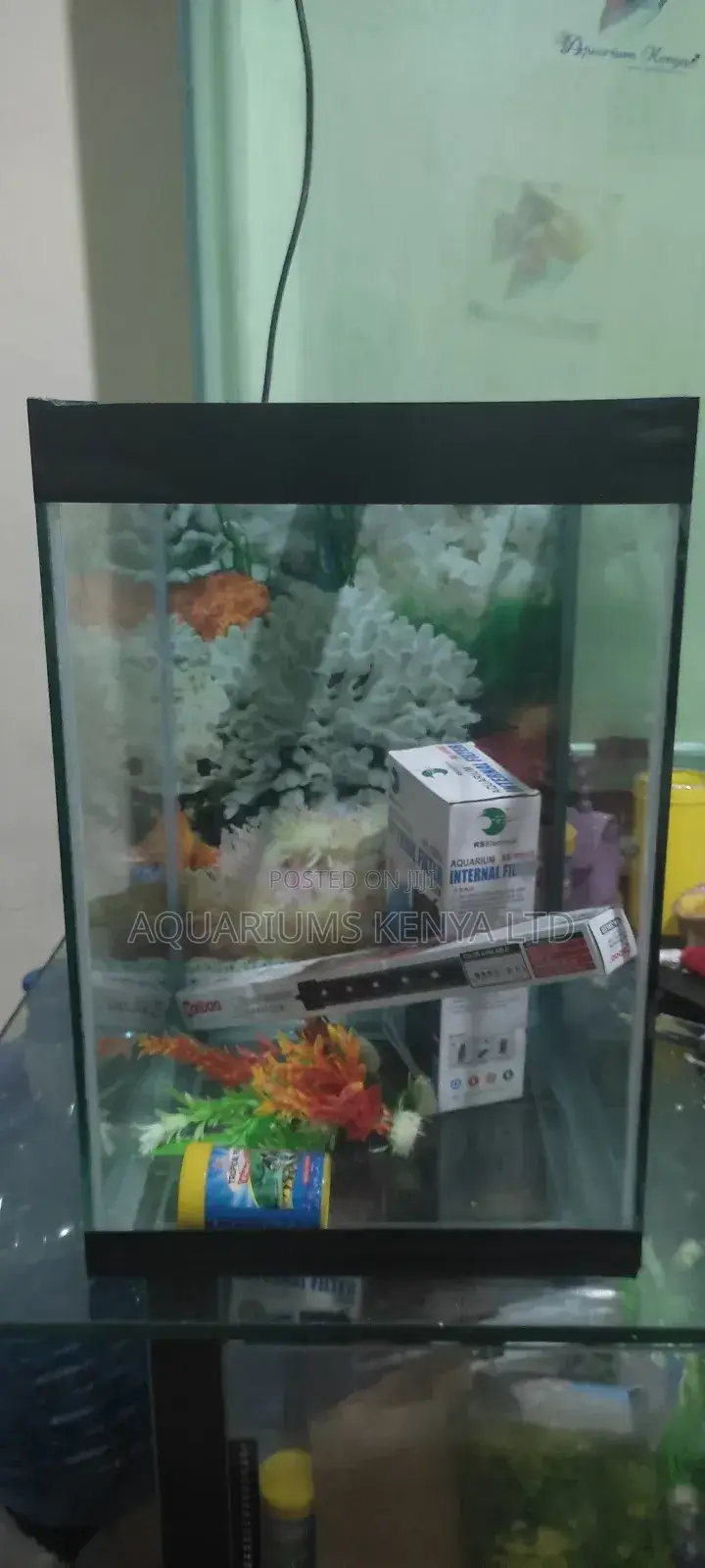 Starter Aquarium For Children And Beginners