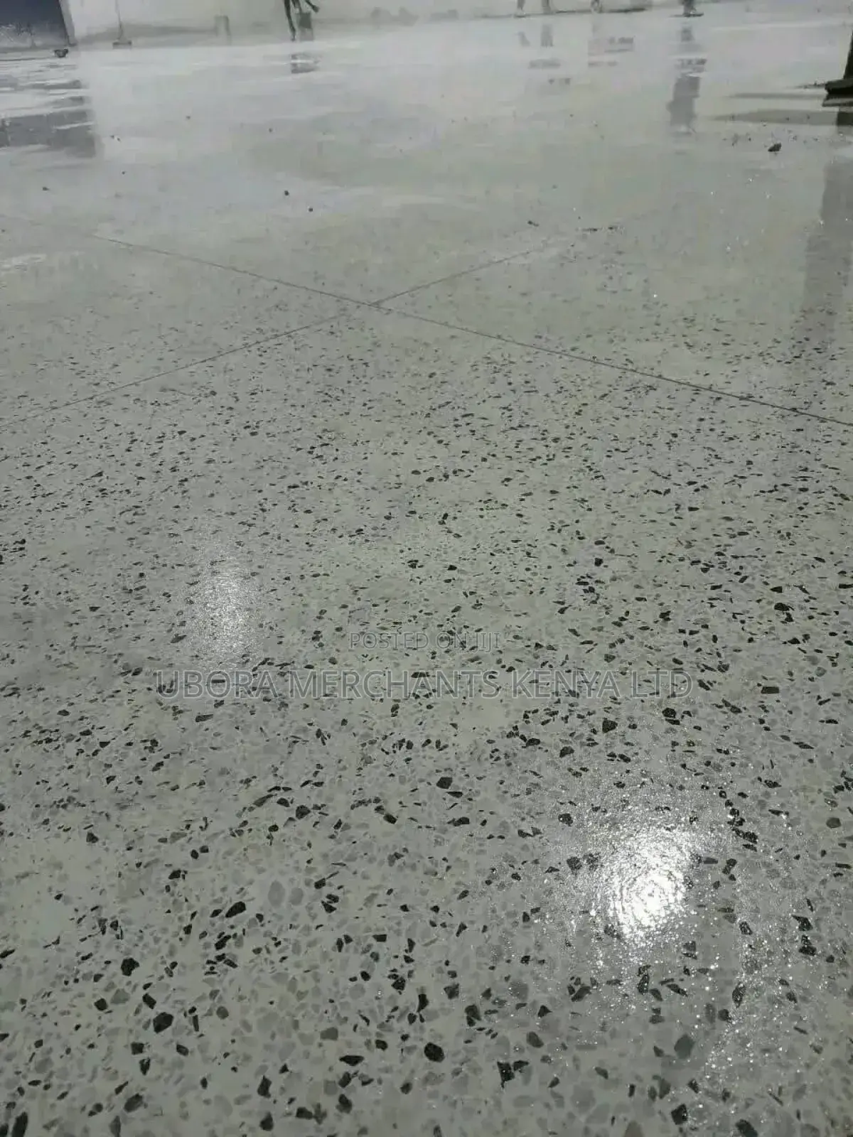 White Cement Terazzo Services