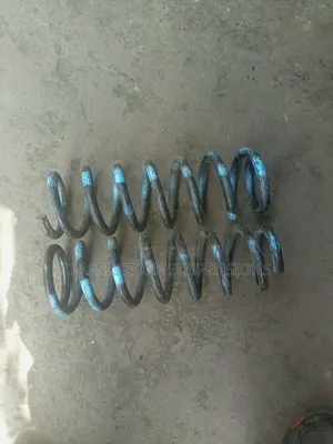 Toyota Mark X Springs