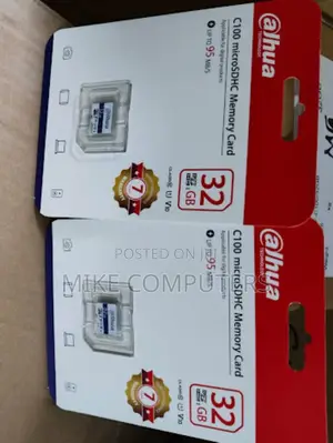 Reliable Storage Dahua 32GB C100 Microsdxc Memory Card