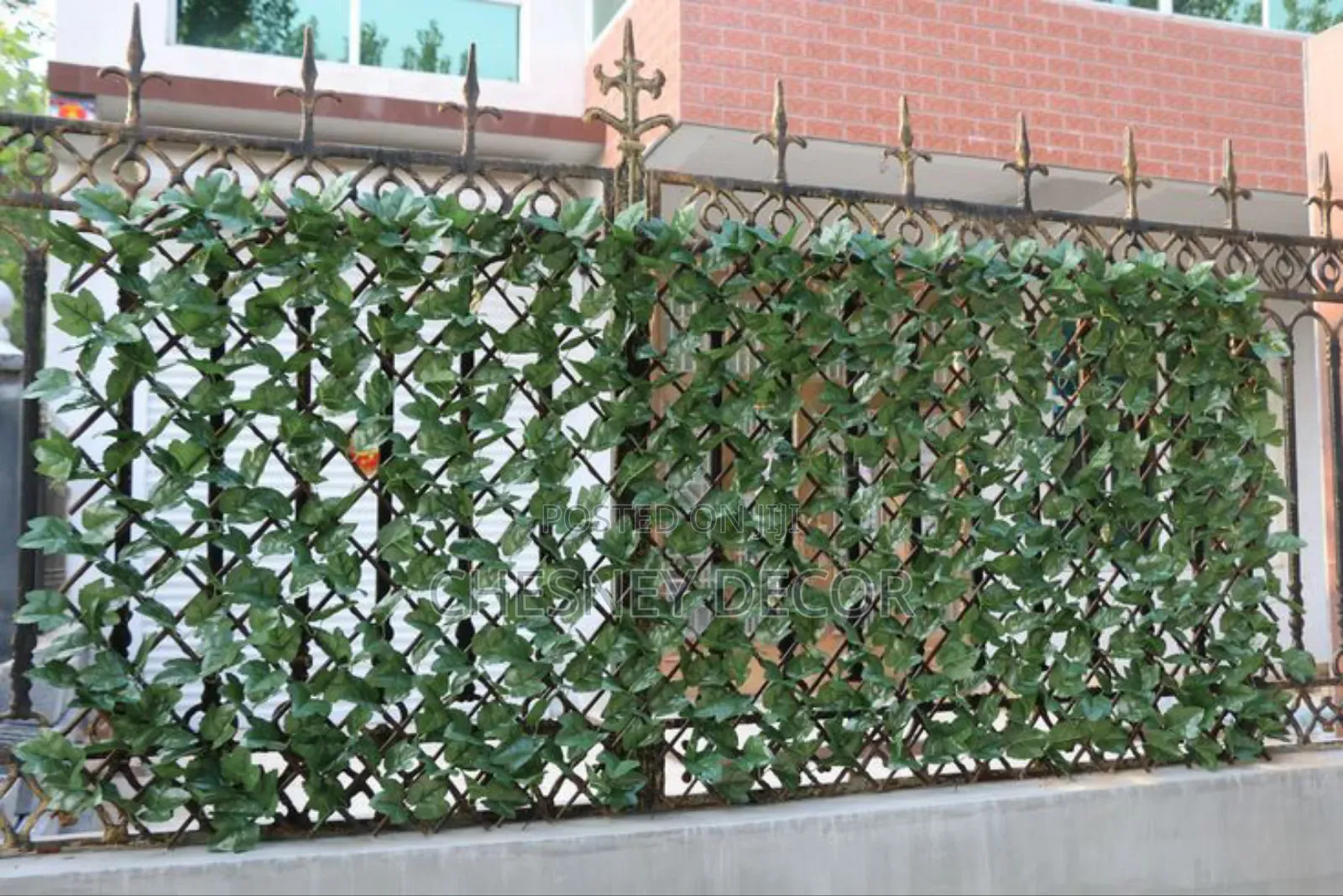Expandable-Ivy