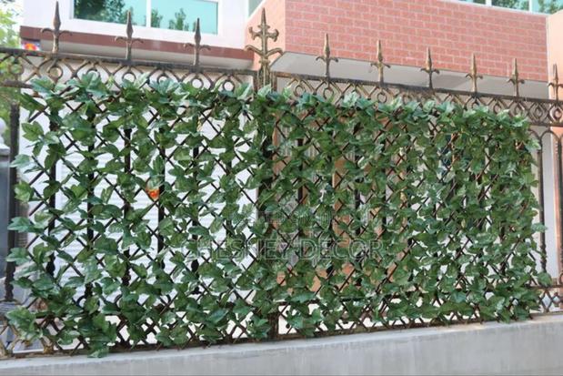 Expandable-Ivy - main view