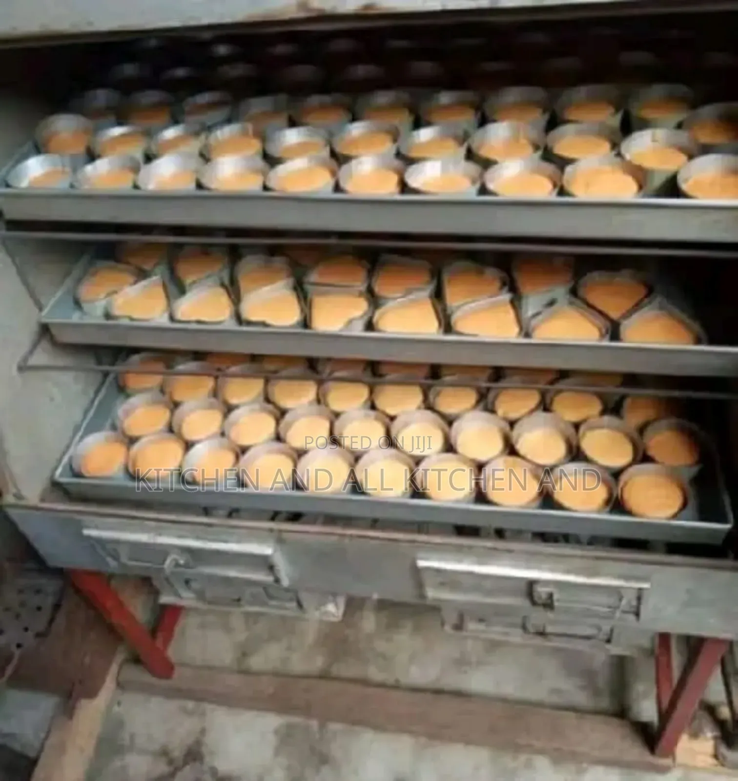 Stainless Steel Charcoal Oven 