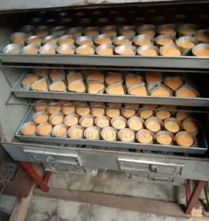 Stainless Steel Charcoal Oven 
