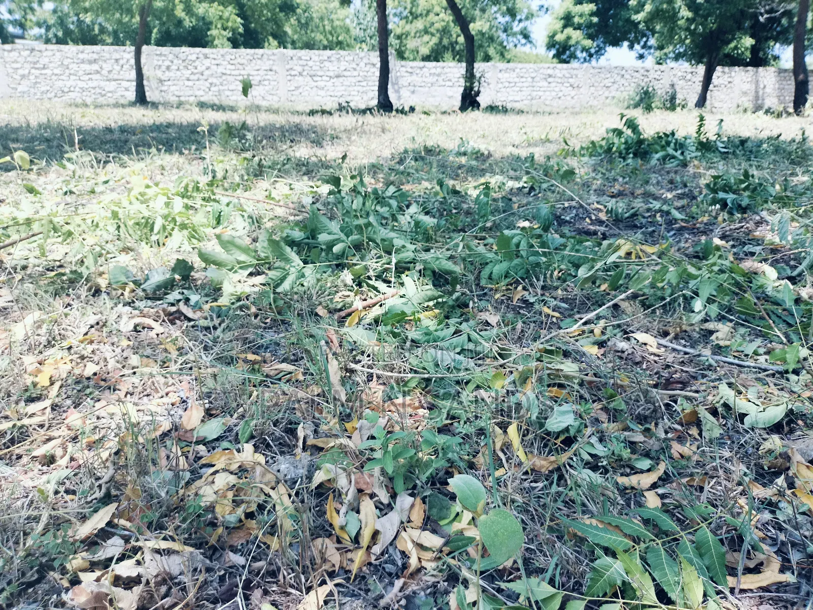 One Acre Third Row Prime Land in Baobab Hotel Area!!