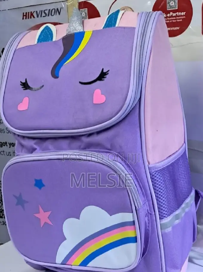 Durable Large Capacity Double Zip Back to School Bag