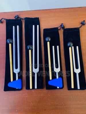 Tuning Fork - main view