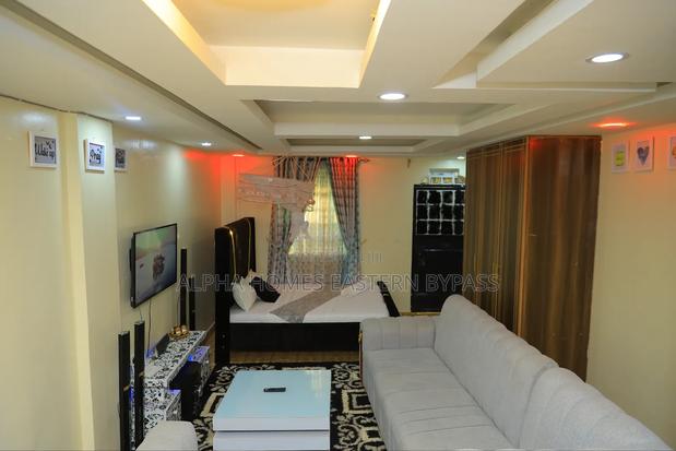 Spacious Studio Oasis Along Eastern Bypass RFH Ruiru - thumbnail 10