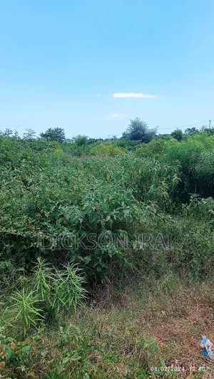 Dongo Kundu Land for Sale