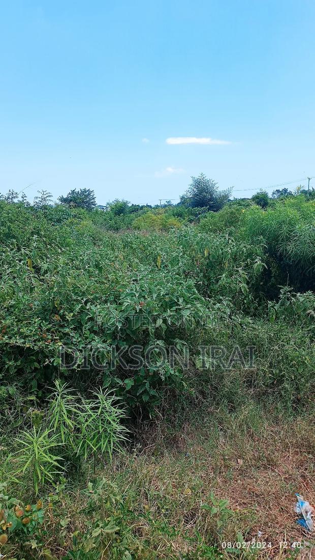 Dongo Kundu Land for Sale