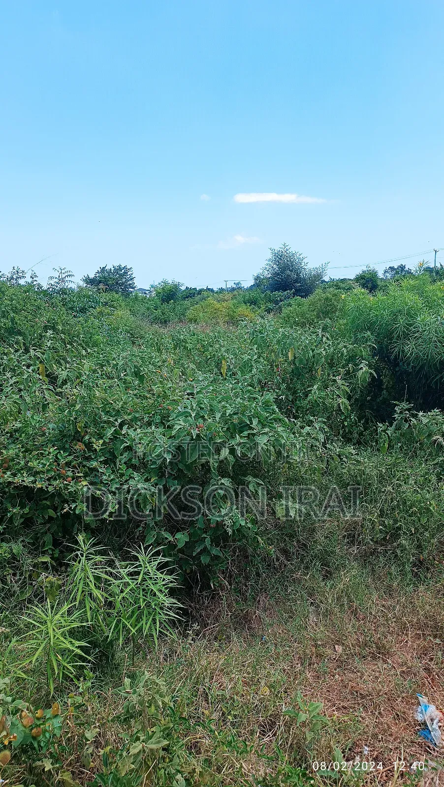 Dongo Kundu Land for Sale