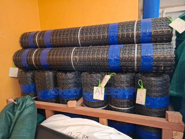 Geogrid Mesh