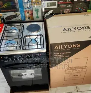 Standing Cooker 3+1 60 by 60