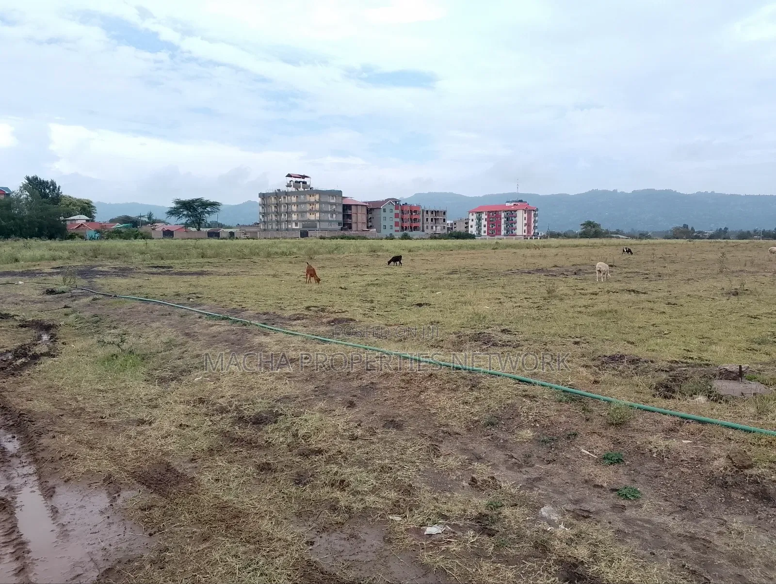 Machakos -Kenya Israel Plot 1/4