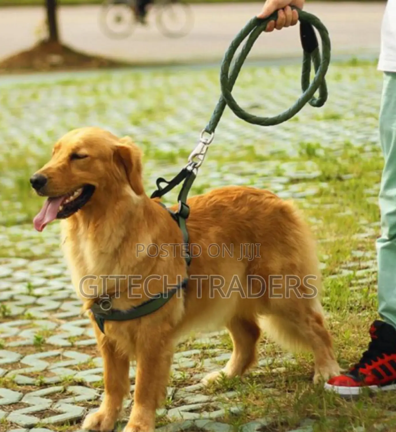 Brand New Dog Leash