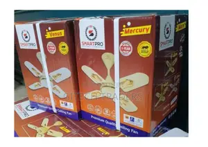 Smart Pro 24 Inches Ceiling Fan