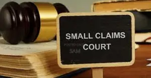 Small Claims Court Filings