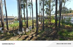 1/2 Acre Kimumu With Title Ideal for Commercial Purpose - main view