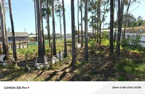 1/2 Acre Kimumu With Title Ideal for Commercial Purpose