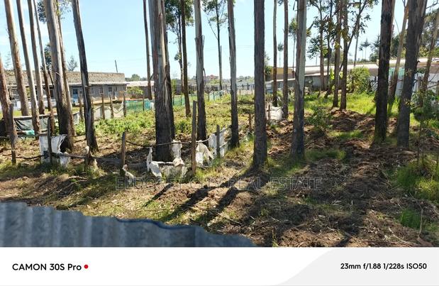 1/2 Acre Kimumu With Title Ideal for Commercial Purpose - thumbnail 4