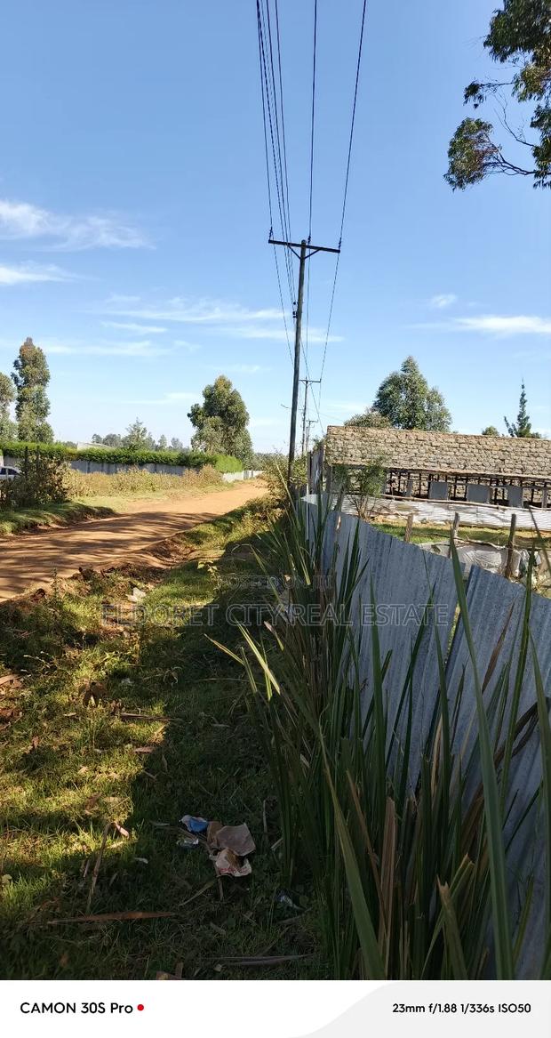 1/2 Acre Kimumu With Title Ideal for Commercial Purpose - thumbnail 5