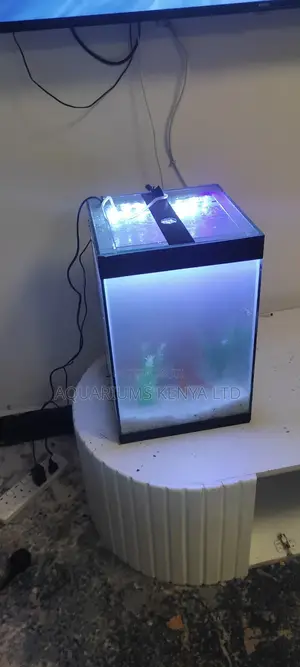 Custom Aquariums Of High Spectrum Fish Nano