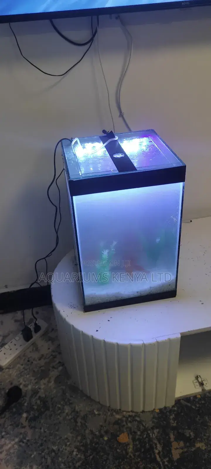 Custom Aquariums Of High Spectrum Fish Nano