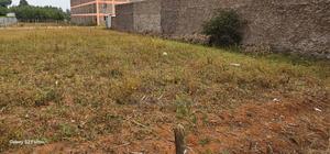 Commercial 1⁄4 Plot For Sale In Kimumu Eldoret - thumbnail 2
