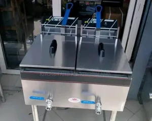 Ss Electric Fryer