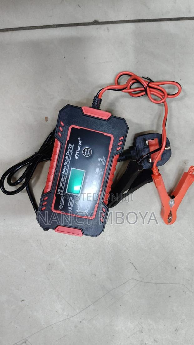 12v Intelligent Pulse Car Repair Charger - thumbnail 3