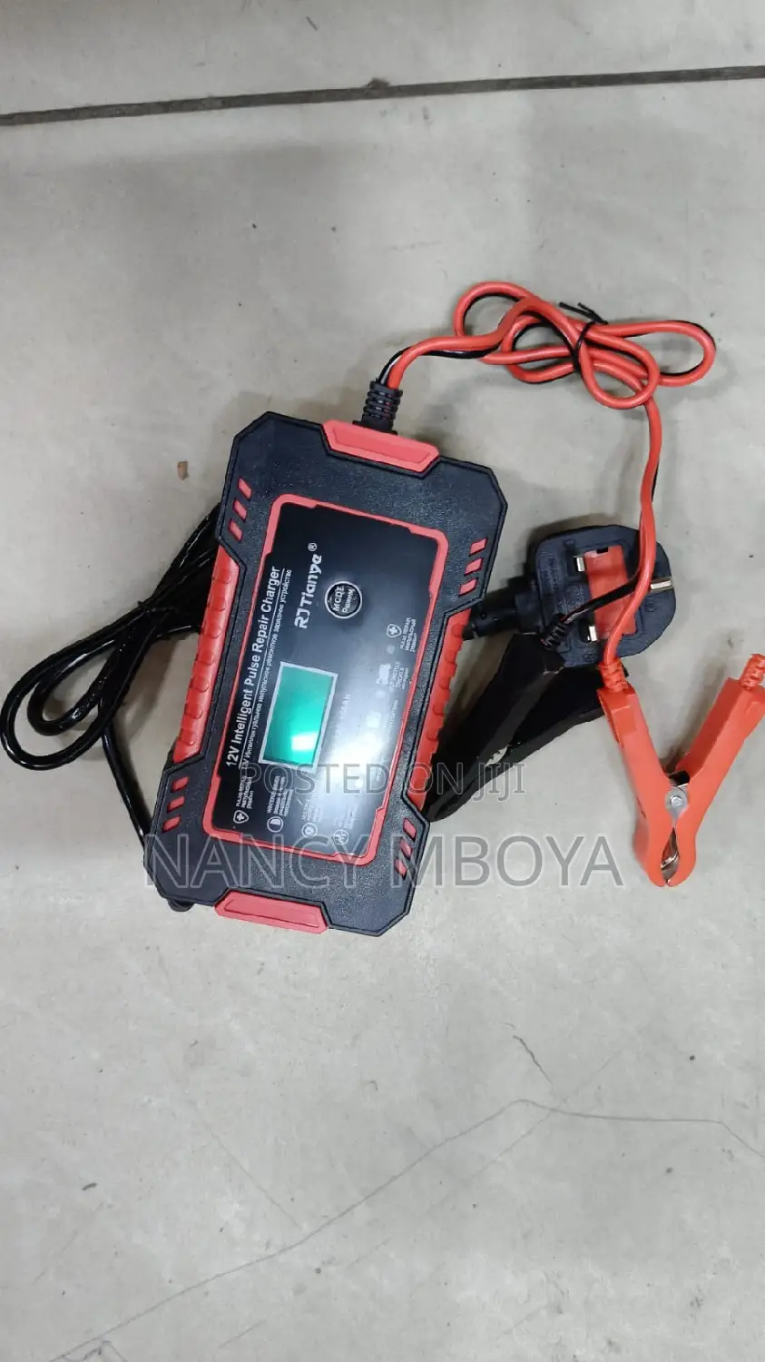 12v Intelligent Pulse Car Repair Charger
