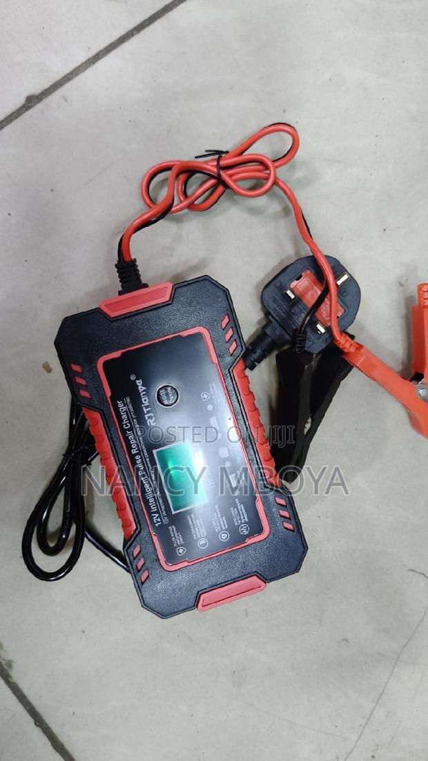 12v Intelligent Pulse Car Repair Charger - thumbnail 4