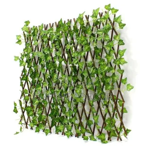 Expandable0 Fence