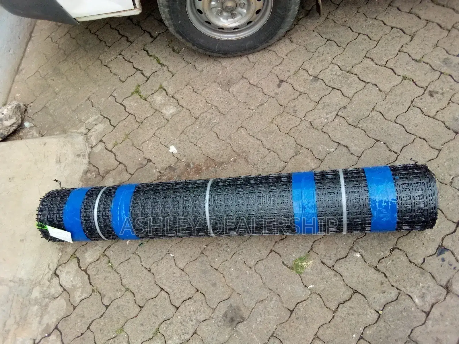Plastic Mesh