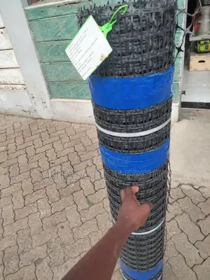 Geogrid Plastic Mesh