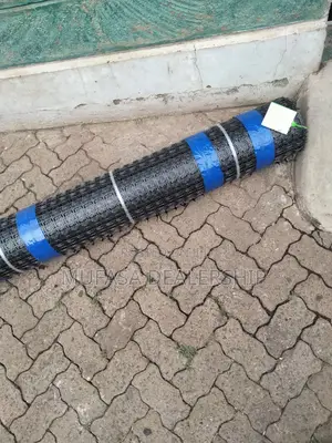 Geogrid Plastic Mesh/ Geogrid Fence