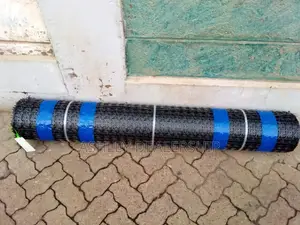 Plastic Mesh/Geogrid