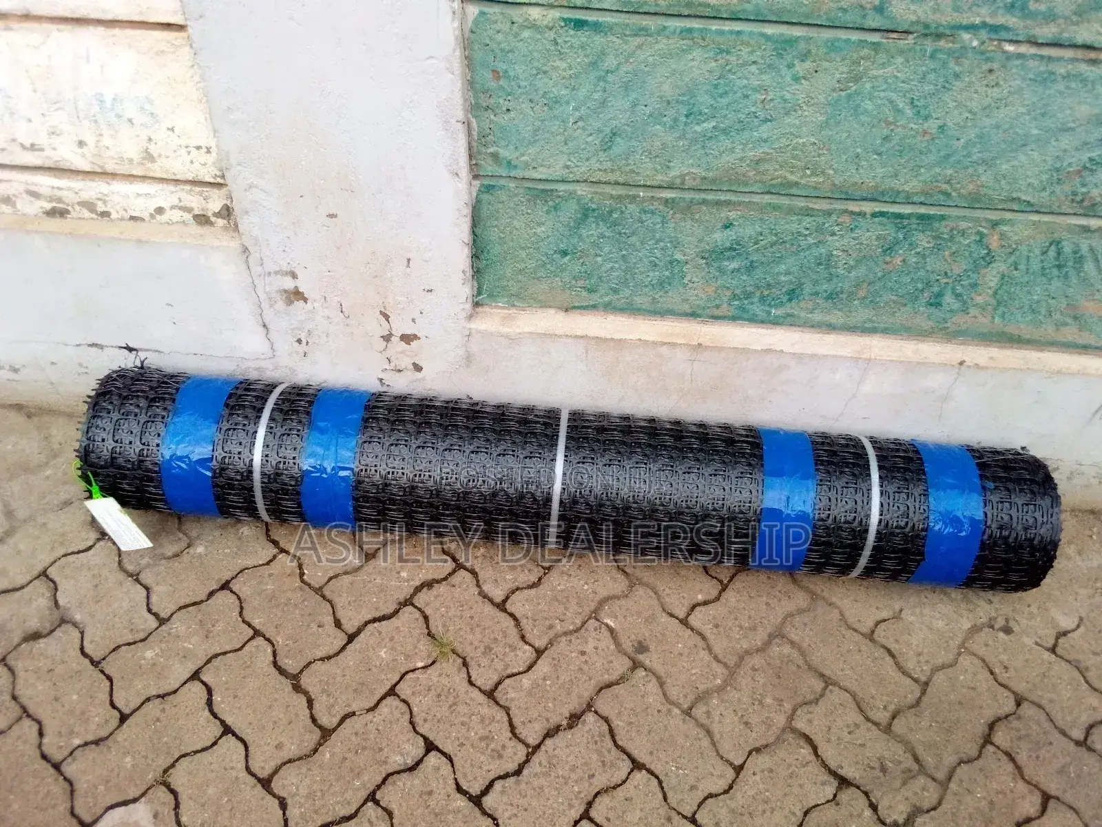 Plastic Mesh/Geogrid