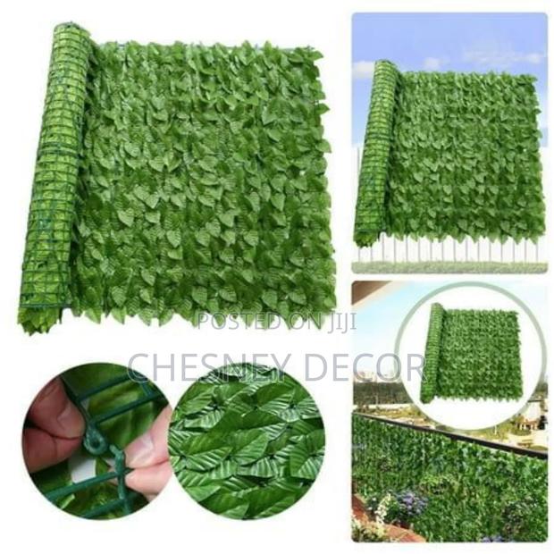 Outdoor Screen