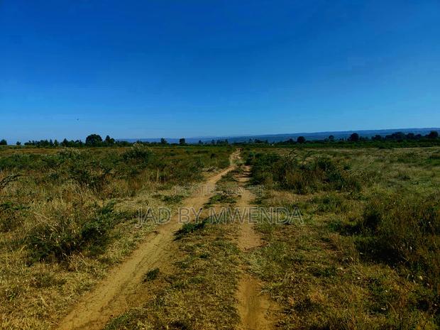 1 Acre Now Selling in Naivasha - thumbnail 5