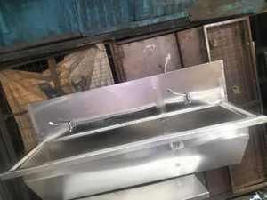 Double Taps Scrub Sink