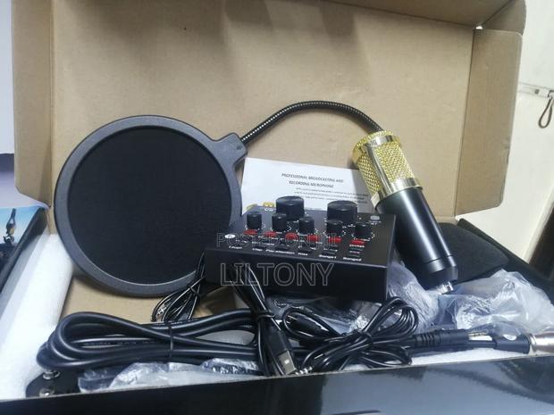 Proffessional Broadcasting and Recording Microphone - thumbnail 2