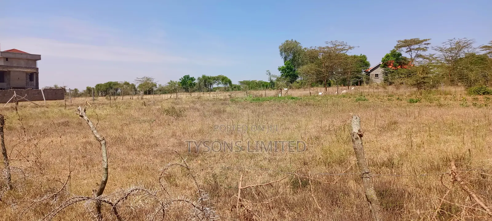 Quarter Acre Plot for Sale at Machakos Junction