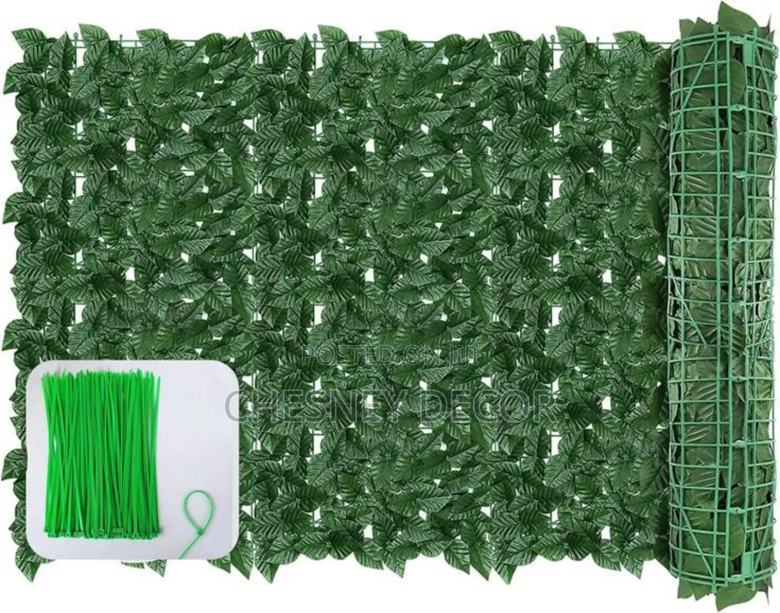 Backdrop Vine