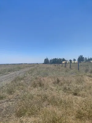 Joska Onsale 10 Acres