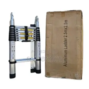 Double Telescopic2.5+2.5m Ladder